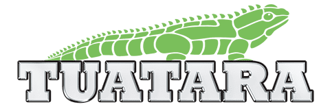 A green background with the word " data ".